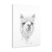ALLISA Llama - Art Canvas