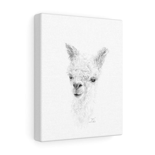 ZOE Llama - Art Canvas