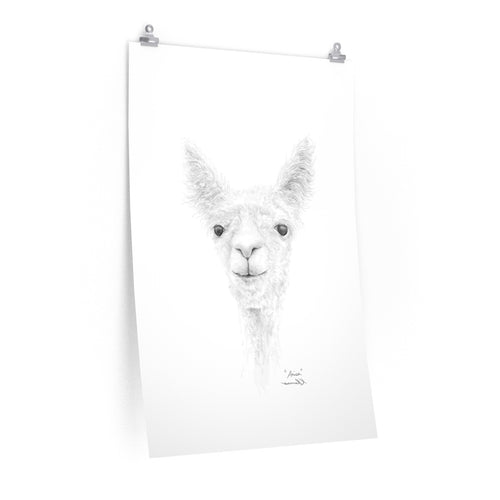 ANISA Llama- Art Paper Print