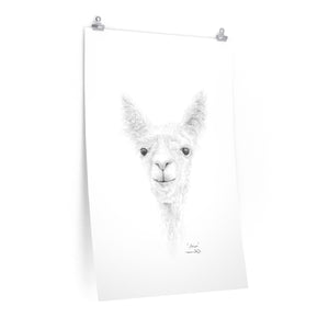 ANISA Llama- Art Paper Print