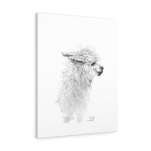 SANDY Llama - Art Canvas