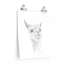 REX Llama- Art Paper Print