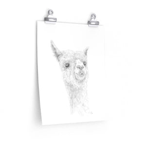 REX Llama- Art Paper Print