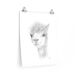 CHRISTINE Llama- Art Paper Print
