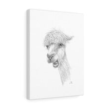 TYLER Llama - Art Canvas