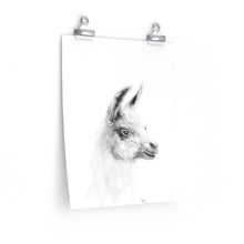 PEPPER Llama- Art Paper Print