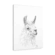 CRAIG llama- Art Canvas