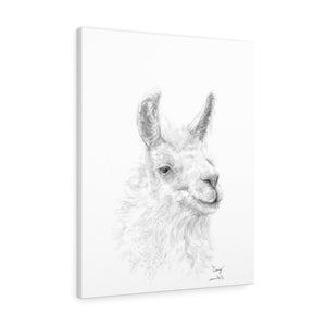 CRAIG llama- Art Canvas