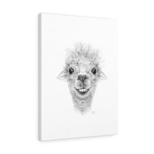 ELLEN Llama - Art Canvas