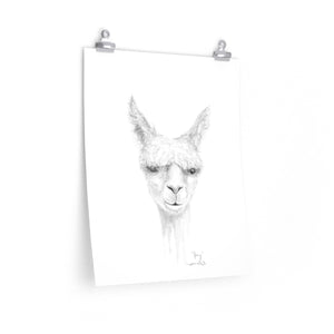 JOEY Llama- Art Paper Print