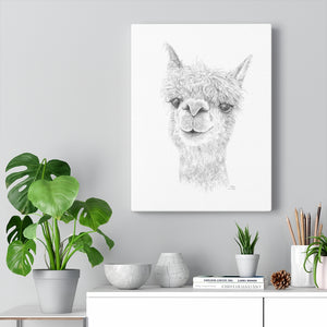 DAKOTA Llama - Art Canvas