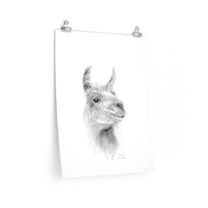INDIA Llama- Art Paper Print