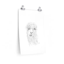 BROOKE Llama- Art Paper Print