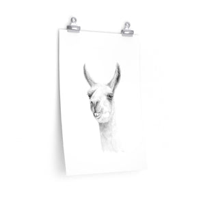 MAGDALENA Llama- Art Paper Print