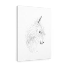 ALAINA Llama - Art Canvas