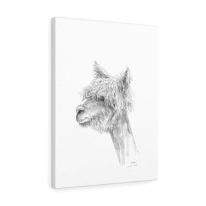SELAH Llama - Art Canvas