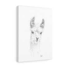 EMSLEY Llama - Art Canvas