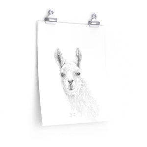AMANDA Llama- Art Paper Print