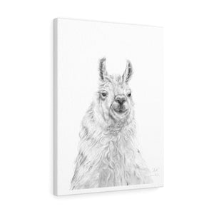 ART Llama - Art Canvas
