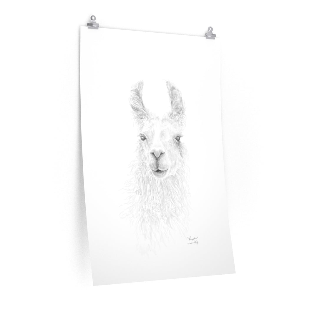 KINGSTON Llama- Art Paper Print