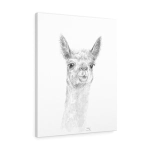 MADDIE Llama - Art Canvas