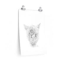 RION Llama- Art Paper Print