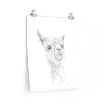 REX Llama- Art Paper Print