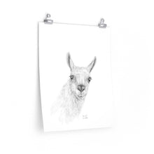 SARRAH Llama- Art Paper Print