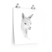 LIVIE Llama- Art Paper Print