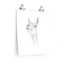 DAVYN Llama- Art Paper Print