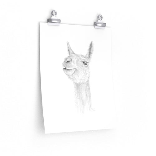 DAVYN Llama- Art Paper Print