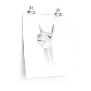 DAVYN Llama- Art Paper Print