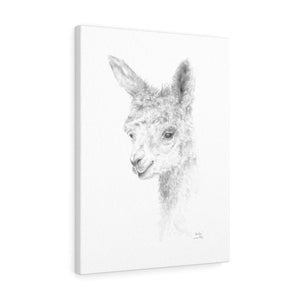 ANALYN Llama- Art Canvas