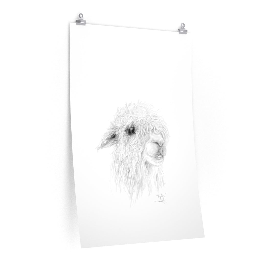 RYLEY Llama- Art Paper Print