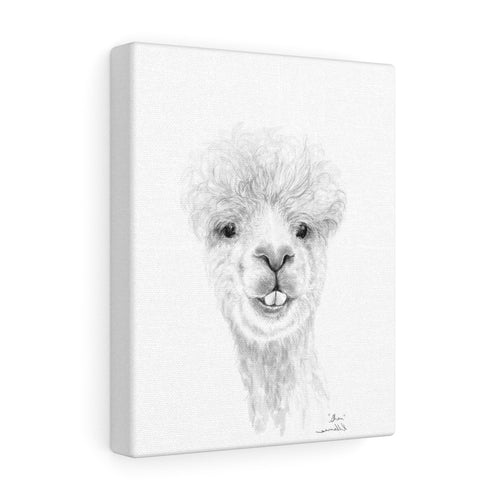 SHAN Llama - Art Canvas