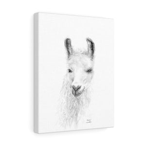 ALISHA Llama - Art Canvas