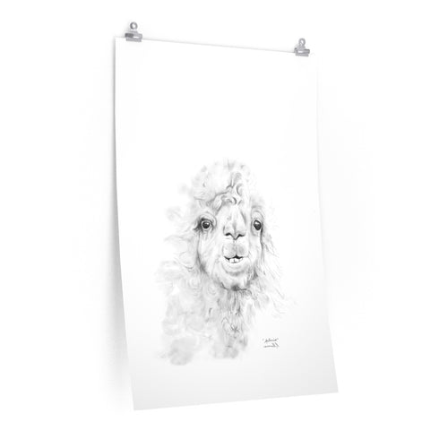 ANTONIO Llama- Art Paper Print