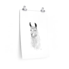 GRAYSON Llama- Art Paper Print