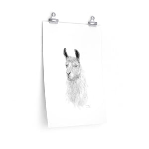 GRAYSON Llama- Art Paper Print