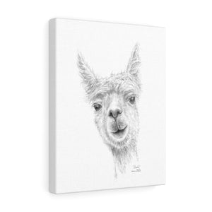 ZACH Llama - Art Canvas