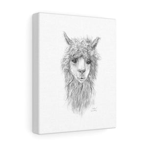 WILLOW Llama - Art Canvas