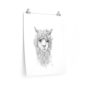 WILLOW Llama- Art Paper Print