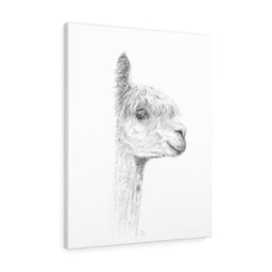 Piper Llama - Art Canvas