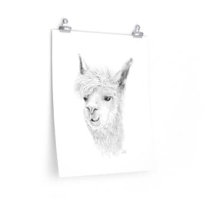 LIAM Llama- Art Paper Print
