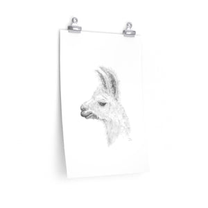 EZRA Llama- Art Paper Print