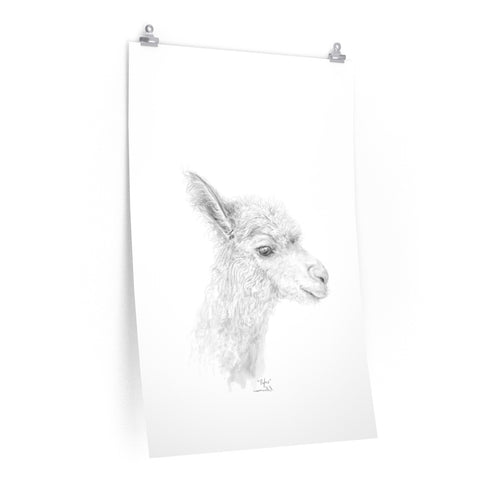 RUFUS Llama- Art Paper Print