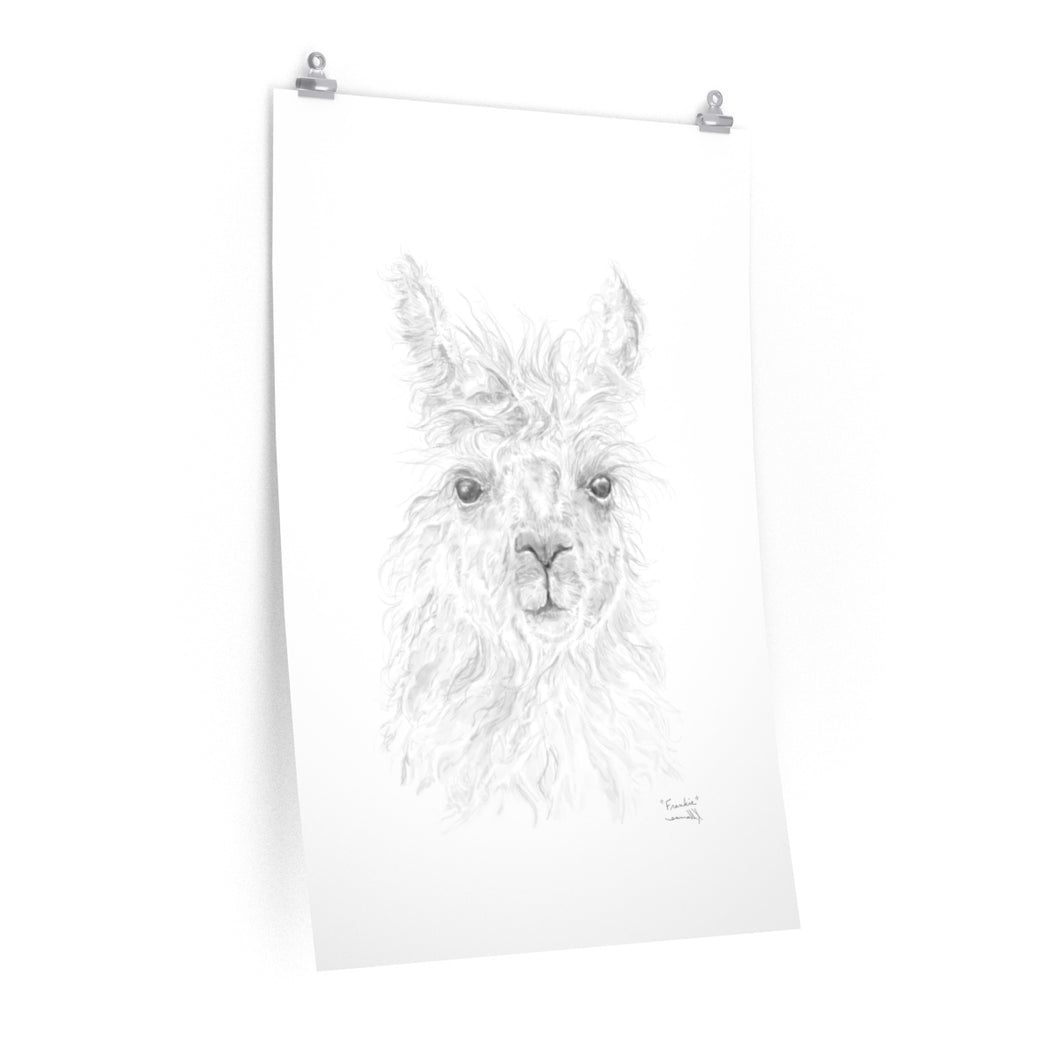 FRANKIE Llama- Art Paper Print
