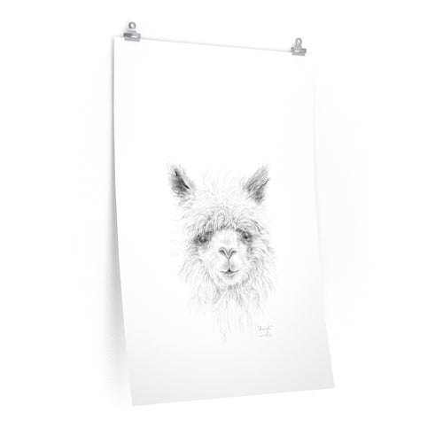 SHERYL Llama- Art Paper Print