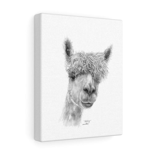 ASHLEY Llama - Art Canvas