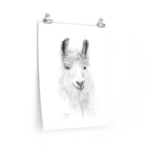BRITTANY Llama- Art Paper Print